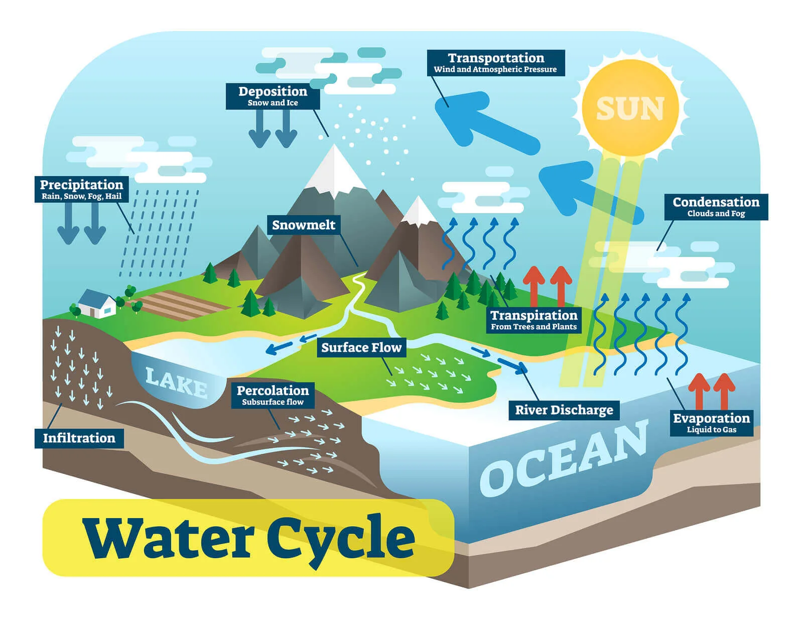 Illustration of the water cycle