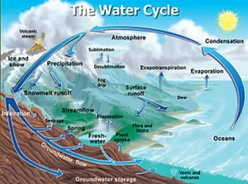 Labelled diagram showing the movement of water through the atmosphere, land and ocean